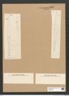 Diatomeae indet. Zeichnungen Sammlung Grunow Nr. 5829 (NHMW-BOT-W0374255)